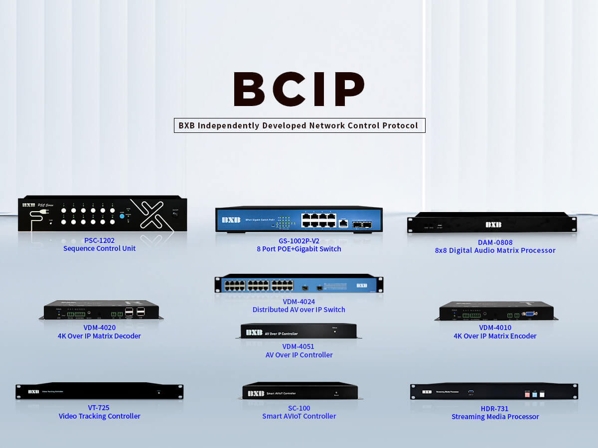 BCIP_03