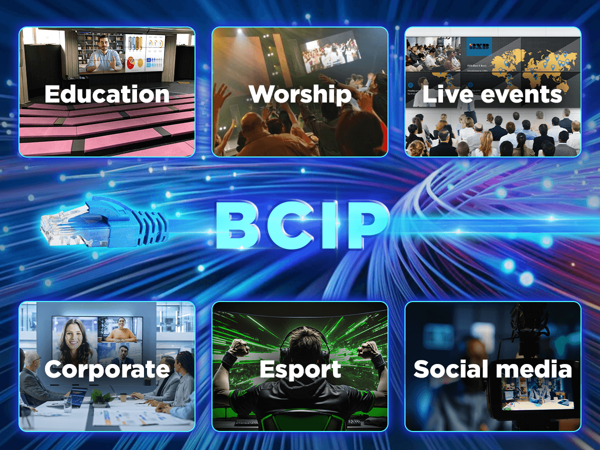 BCIP_04